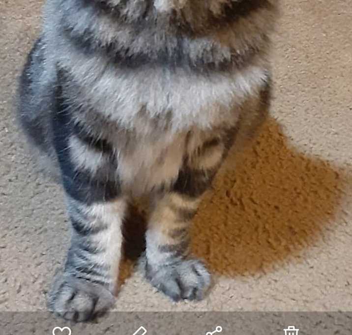 Photo of Gus