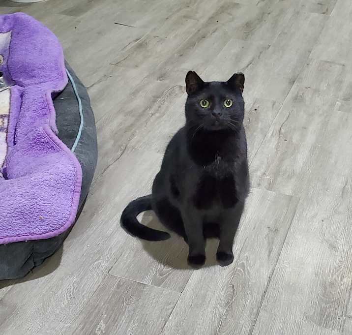 Photo of Speedy