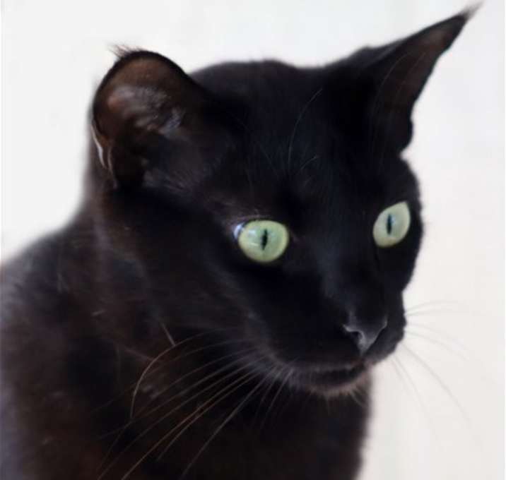Photo of Michellin
