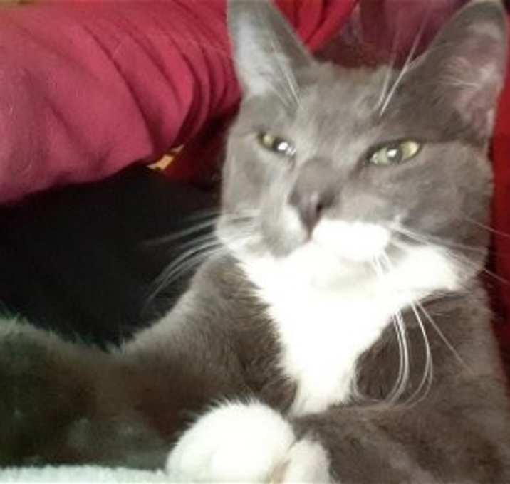 Photo of Tubbs