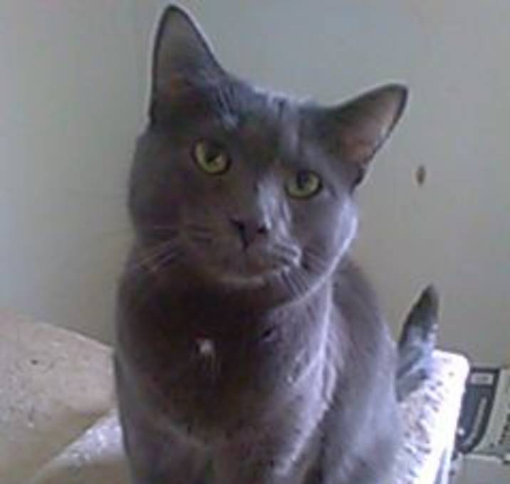 Photo of Tommy