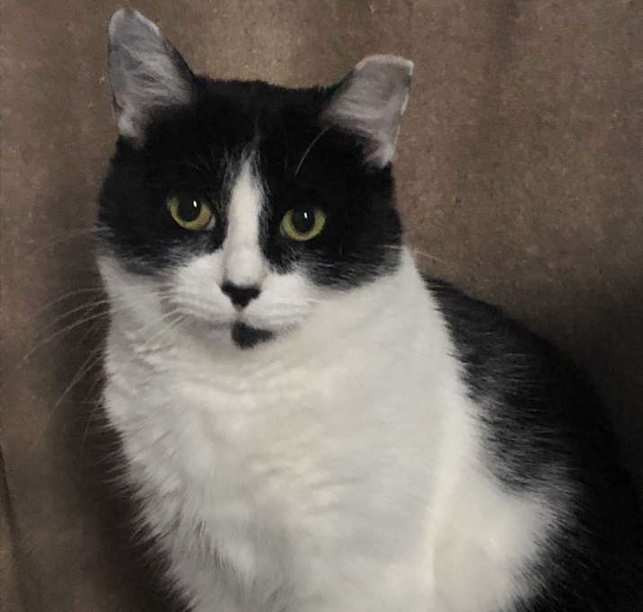 Photo of Bridgette