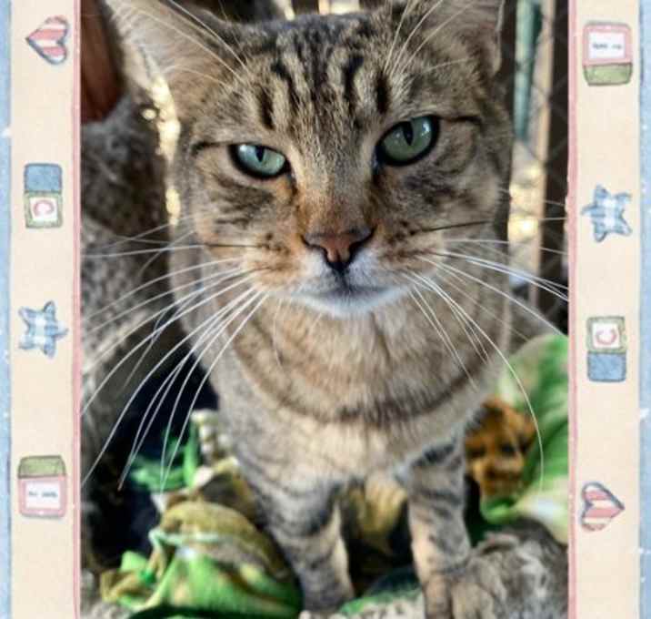 Photo of Tom