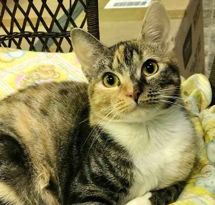Photo of Fiona