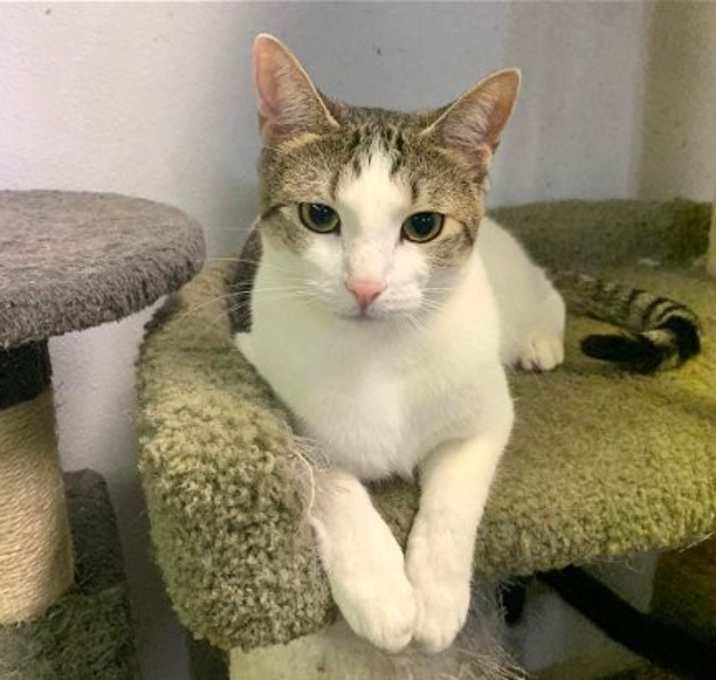 Photo of Ivy