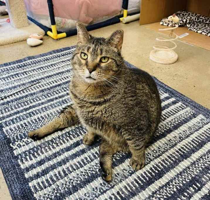 Photo of Bingo