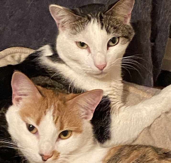 Photo of Annie and Andi