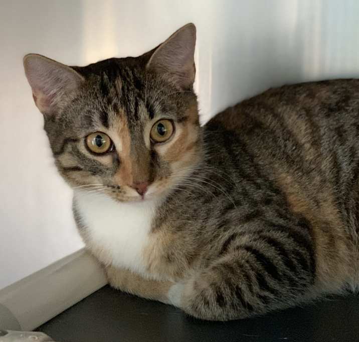 Photo of Bubblicious