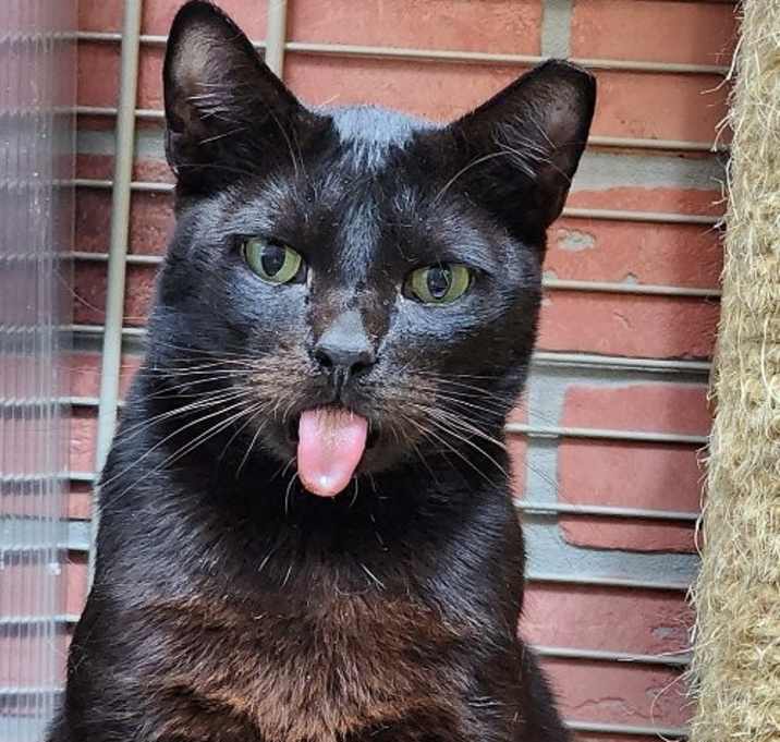 Photo of Coco Boy