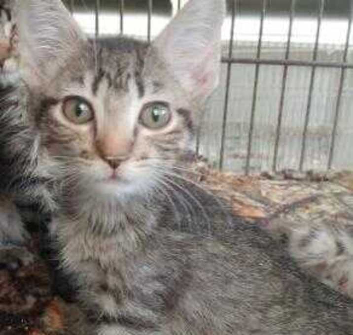 Photo of Mindi