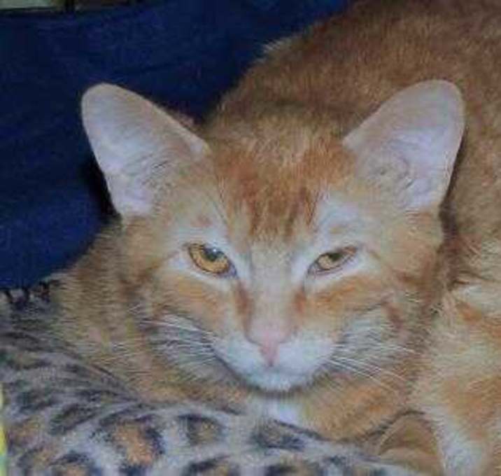 Photo of Billy
