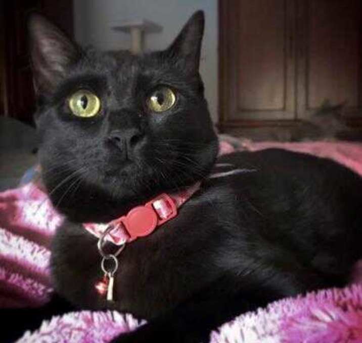 Photo of Arizona 2yr+