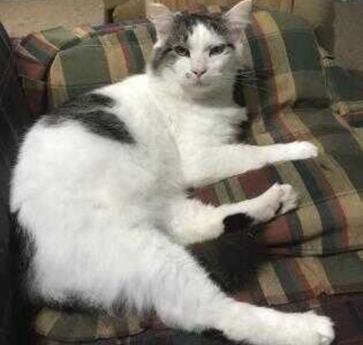 Photo of Louie