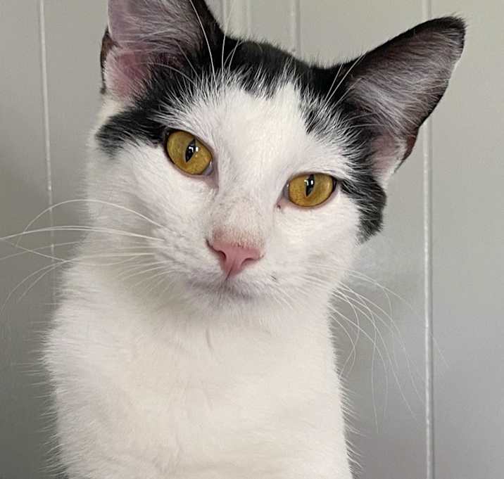 Photo of Frosty
