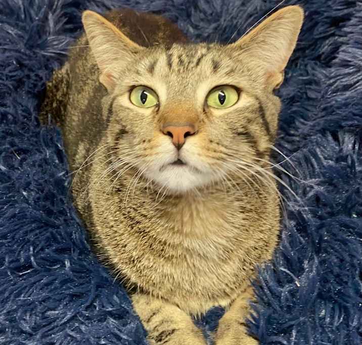 Photo of Squirt