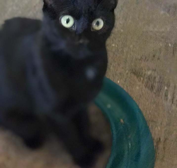 Photo of BINX