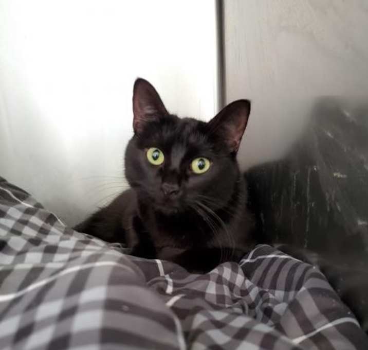 Photo of Shiloh