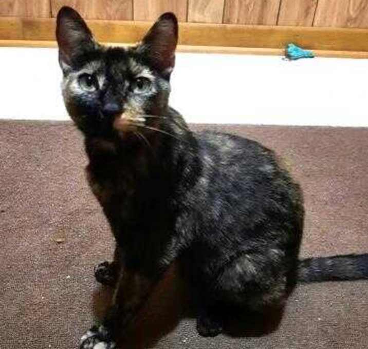 Photo of F21 SB 585 Cleo