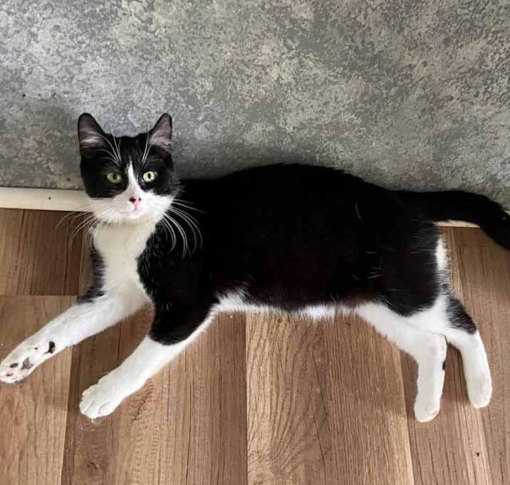 Photo of Jinx