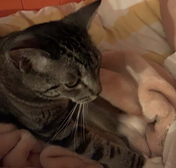 Photo of Diamond