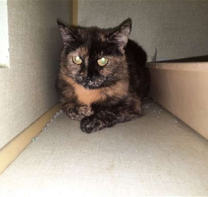 Photo of Gloria
