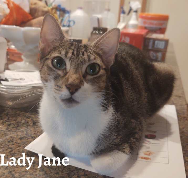 Photo of Lady Jane