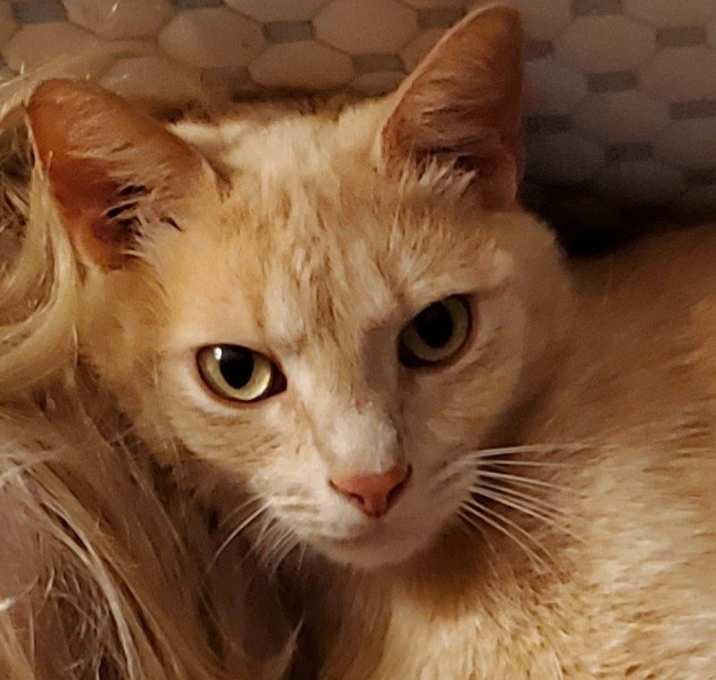 Photo of Hux