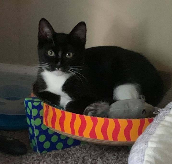 Photo of Zeke 2