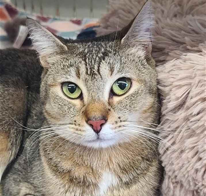 Photo of Hazel Mae