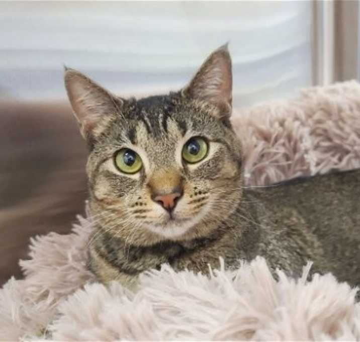 Photo of Fiona