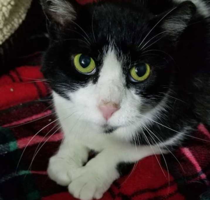 Photo of Bell