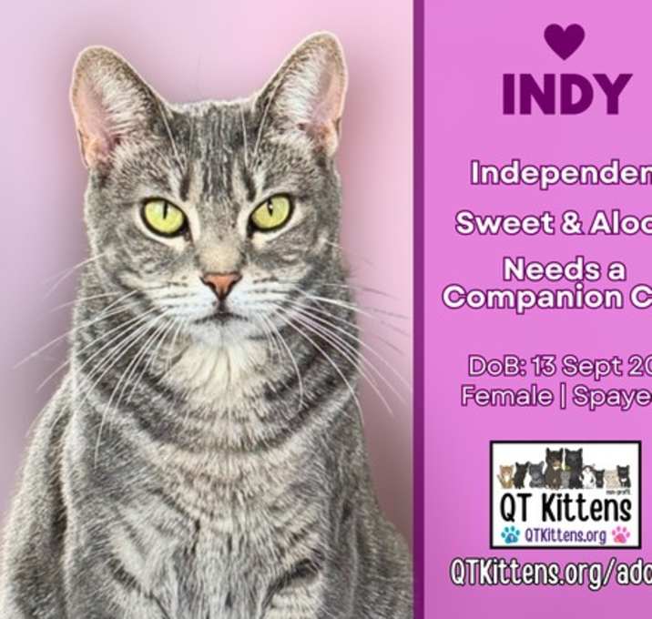 Photo of Indy
