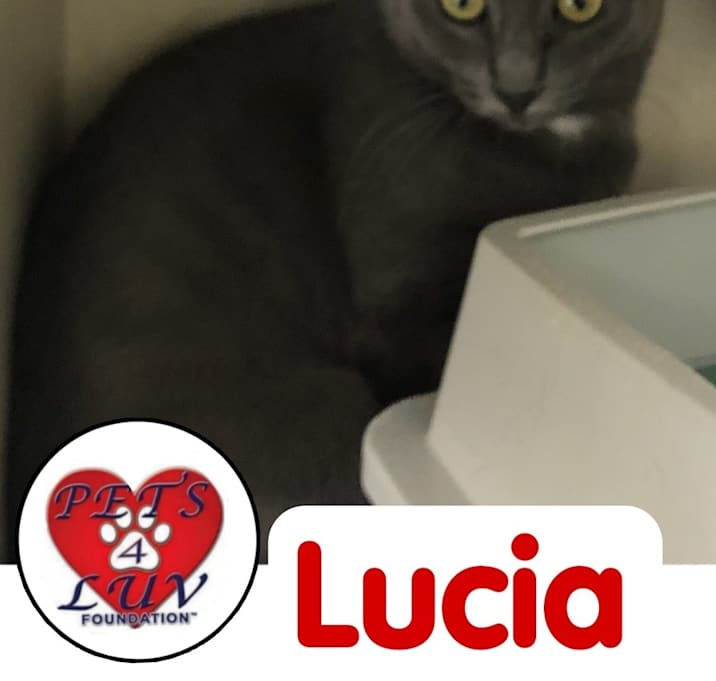 Photo of Lucia - Bob