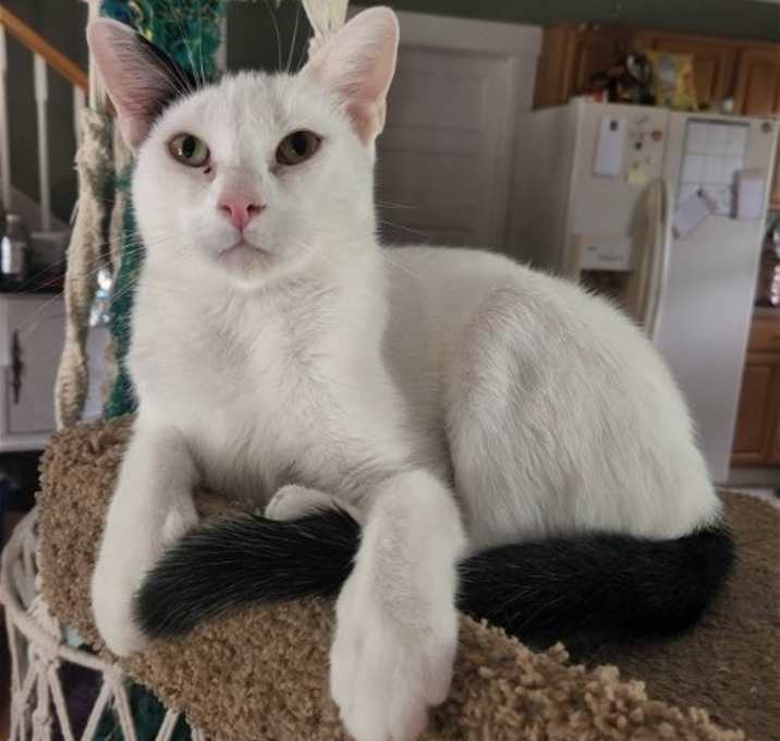 Photo of Westley