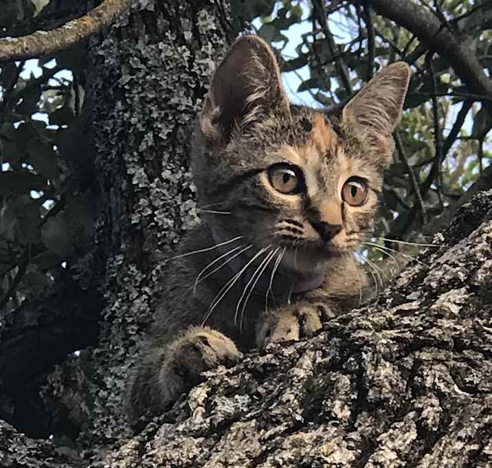 Photo of Sugar
