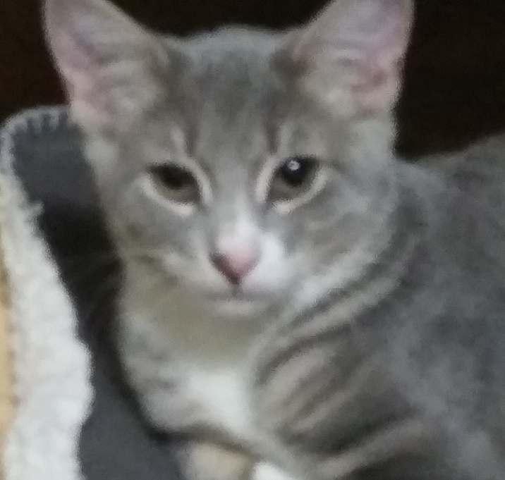 Photo of Theo