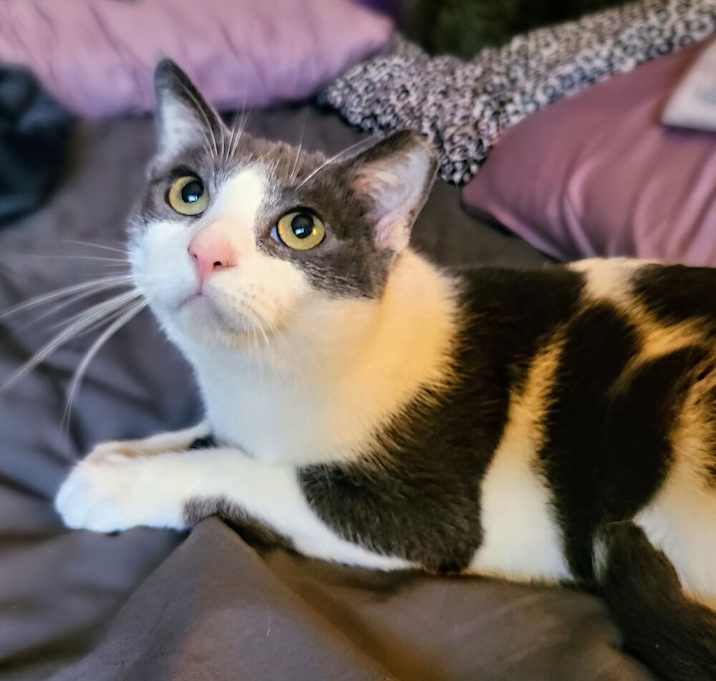 Photo of Diamond
