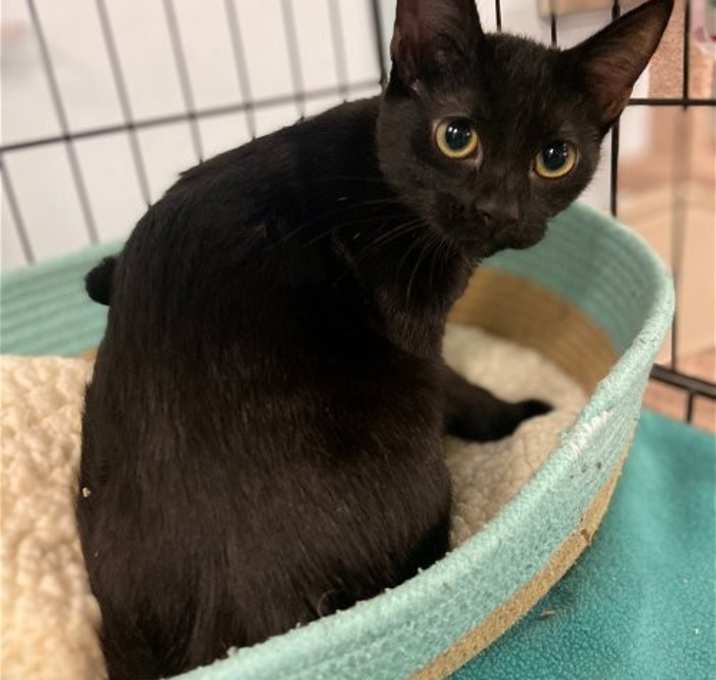 Photo of Lilith