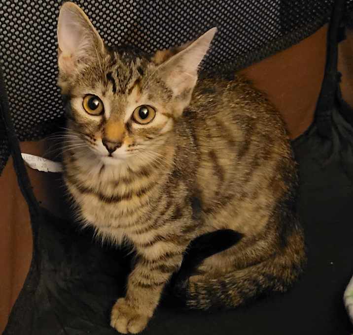 Photo of Sally