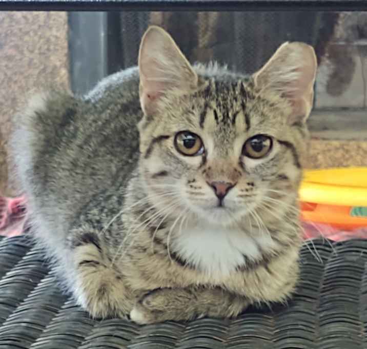 Photo of Meredith