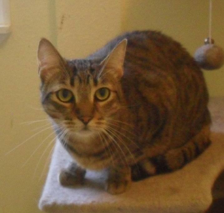 Photo of Mortimer