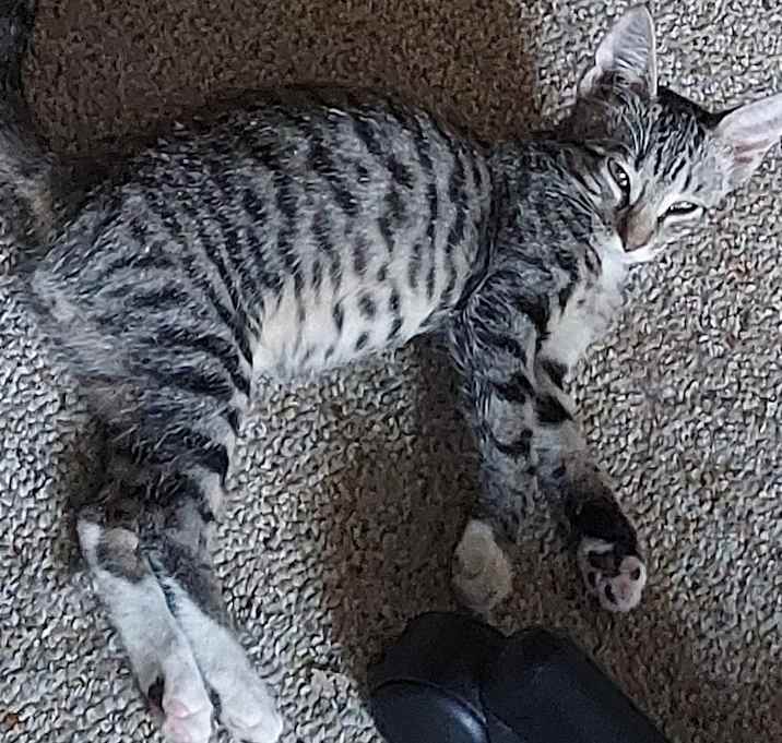 Photo of Boots