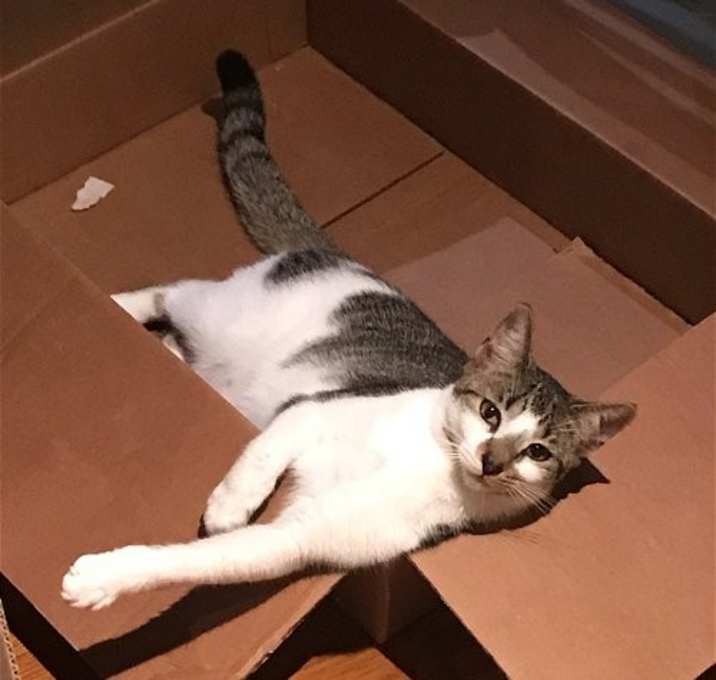 Photo of Alice