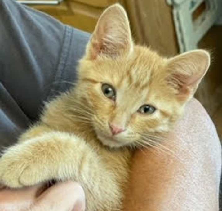 Photo of Dora