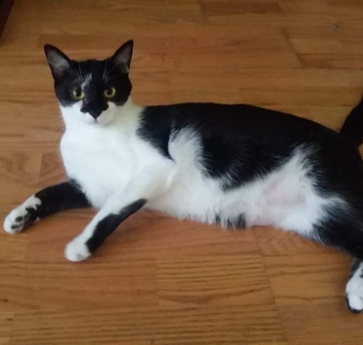 Photo of Duke