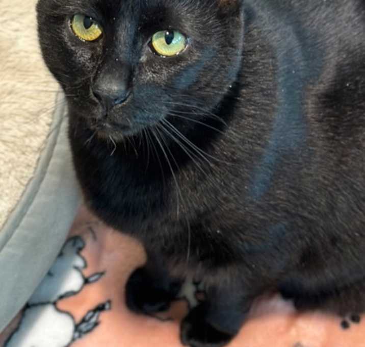 Photo of Pita