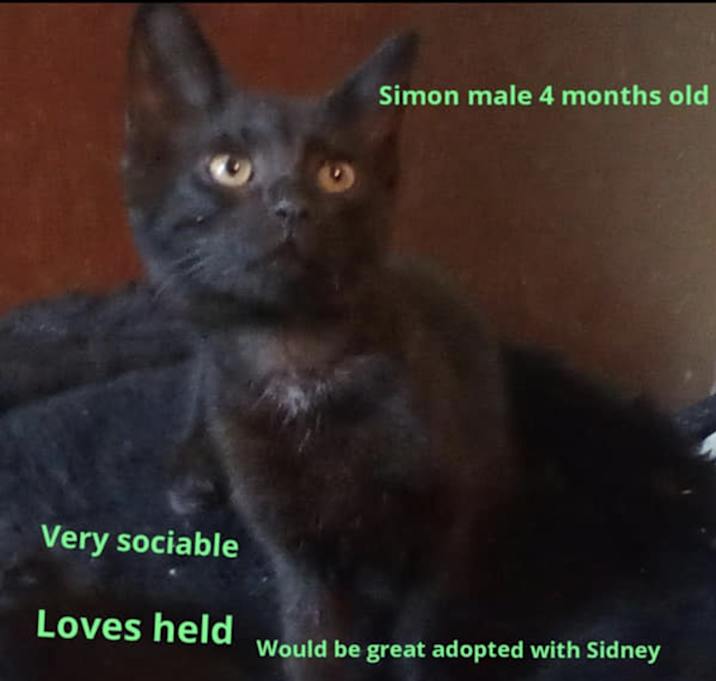 Photo of Simon