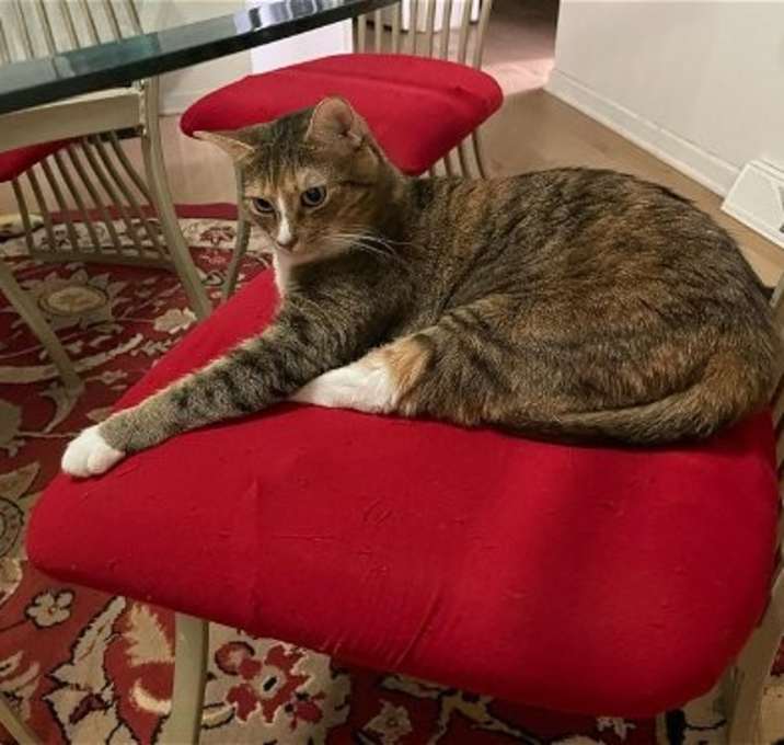 Photo of Kate