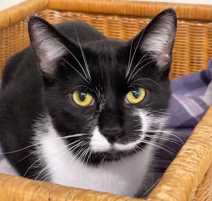 Photo of BO