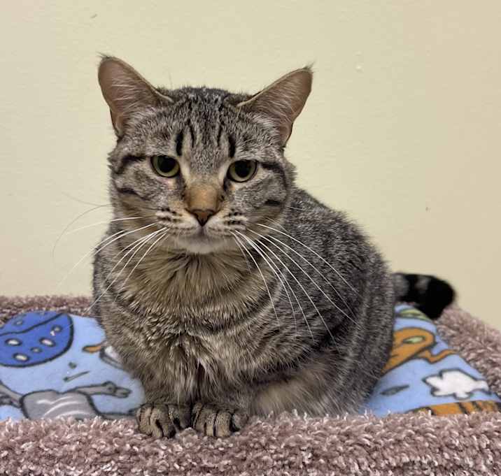 Photo of Blossom